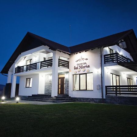 Pensiunea Conacul Lui Horia Bistriţa Kültér fotó